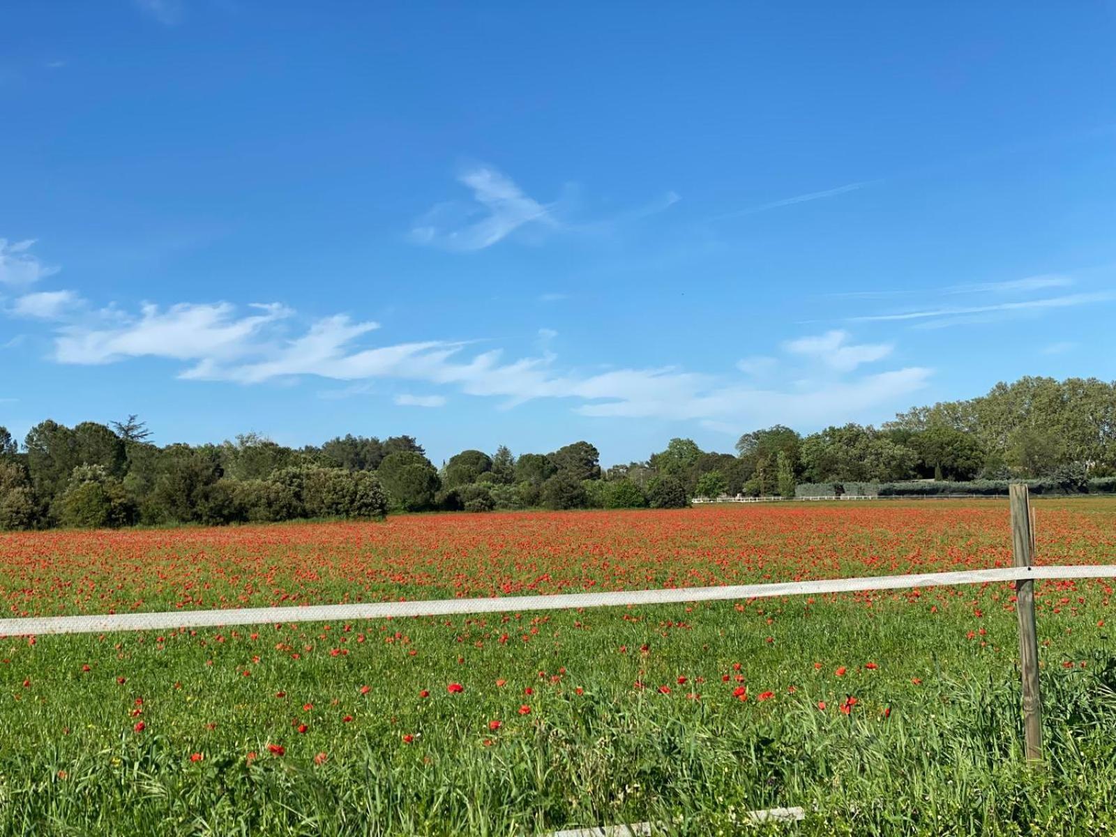 Le Gite Des Poiriers Uzès Exteriér fotografie